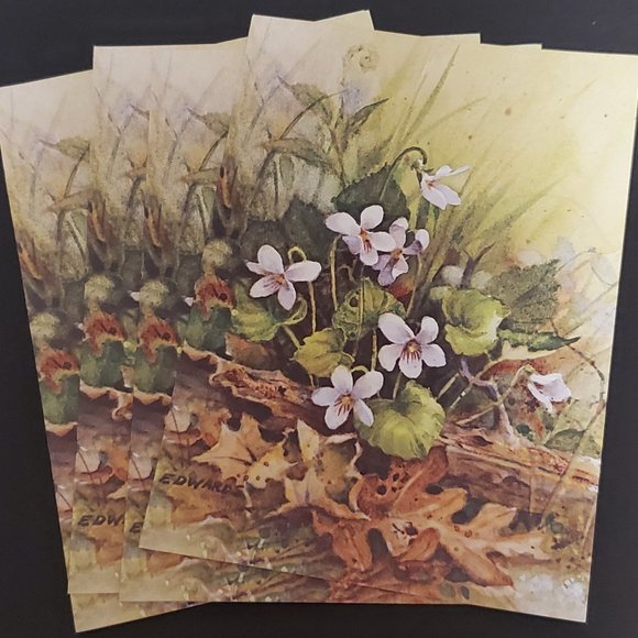 Greeting Cards (7) Red Farm Studio White Violets - Picture 3 of 7